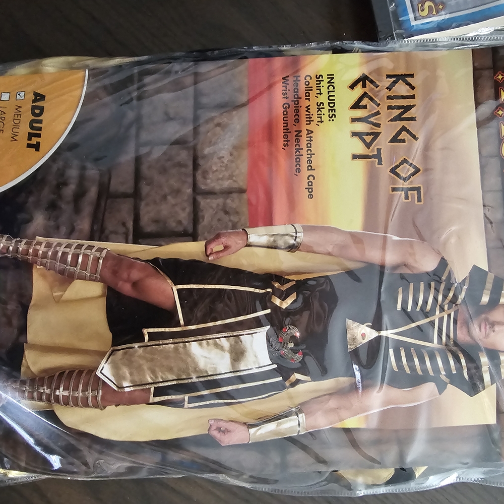 King of Egypt Kids Costume